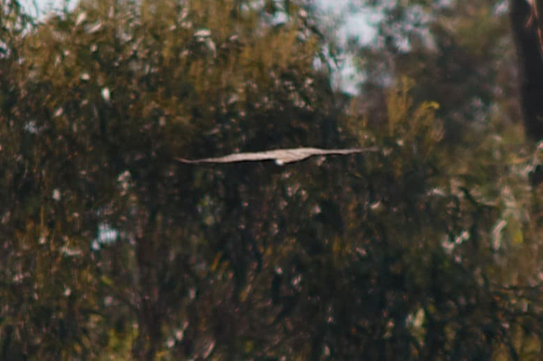 2014-07-10 at 17-05-09