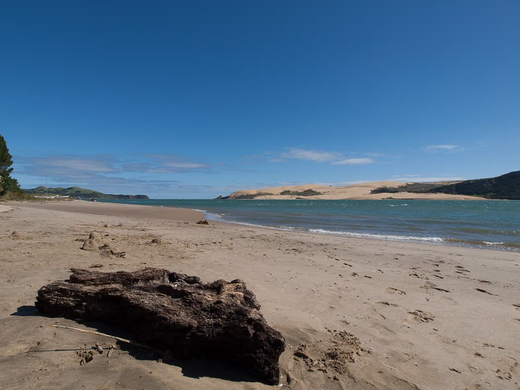 Waiotemarama Gorge Beach — photo by zwennie