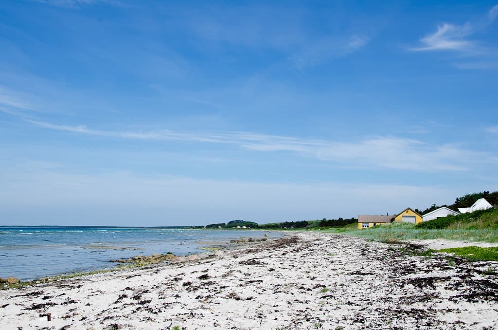 Sælvig Beach — photo by vitamindave