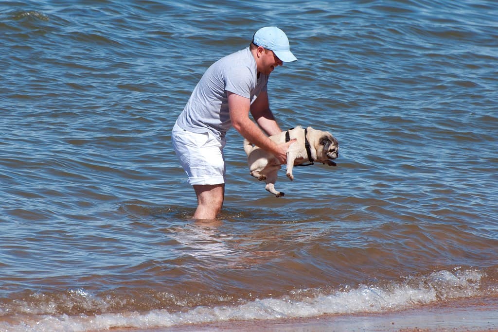 swimming lesson