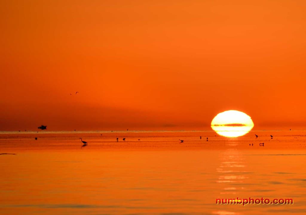 Sunset - Sombrero Beach, Florida Keys