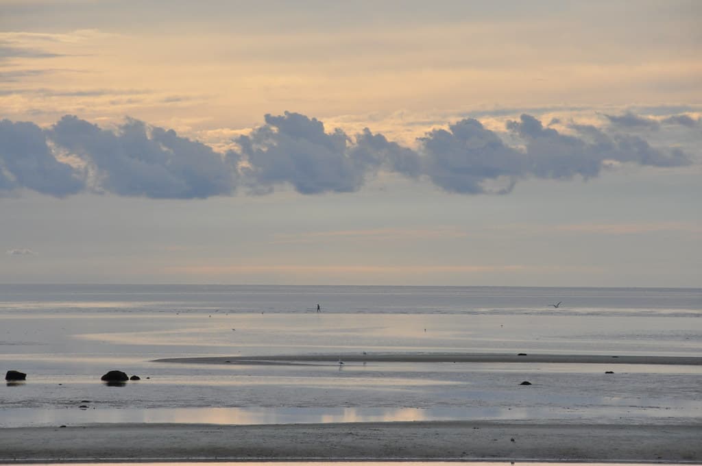 Solitary Stroll