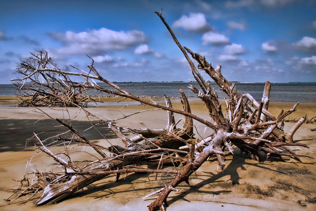 Goulds Inlet Beach — photo by Evangelio Gonzalez MD