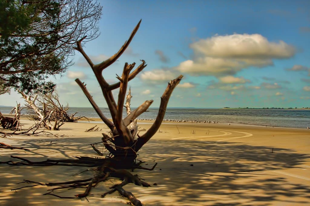 South Dunes Beach view 2