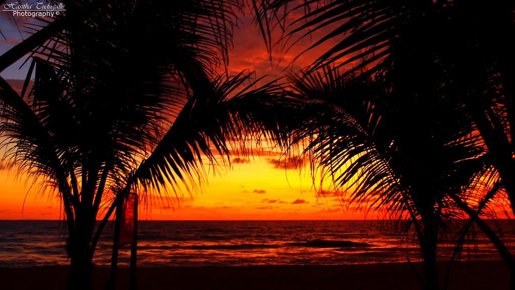 Beruwala Beach