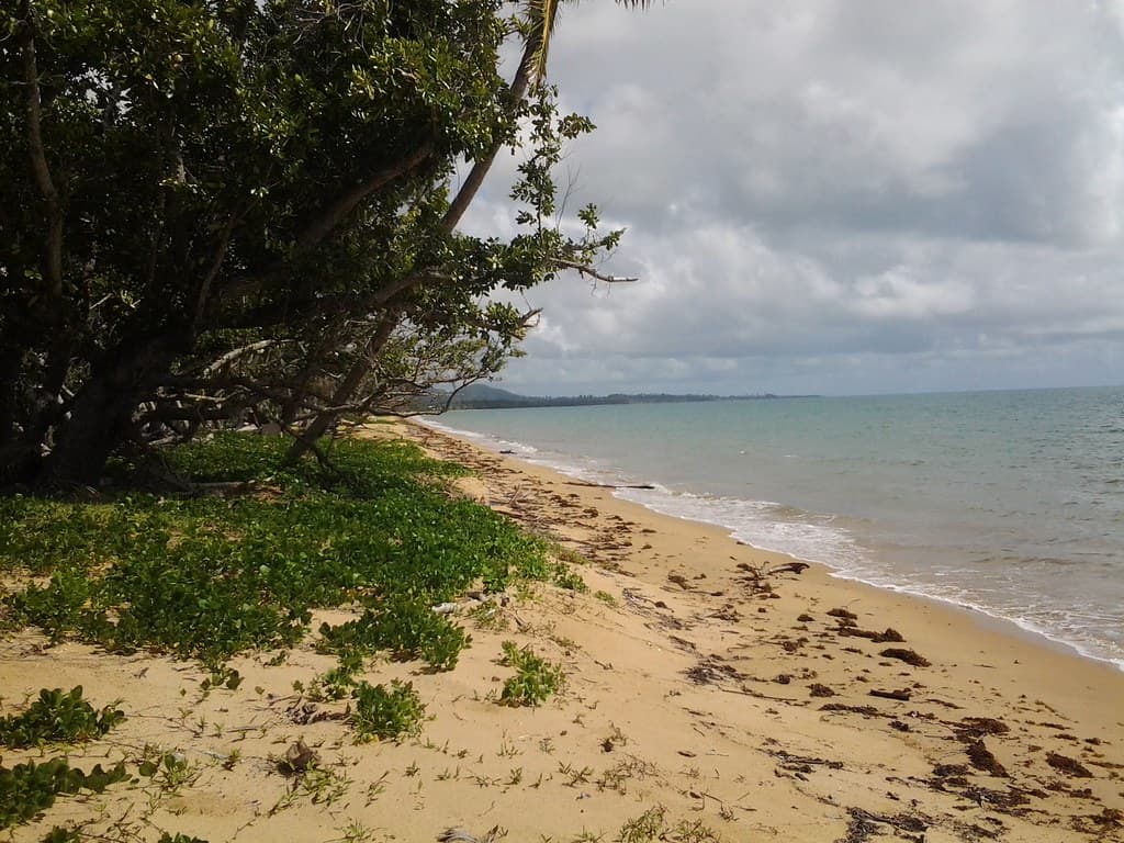 Wongaling Beach near 22 Reid Road