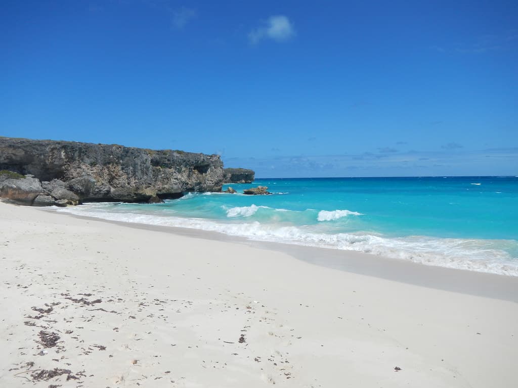 Cove Bay Beach — photo by mescal83