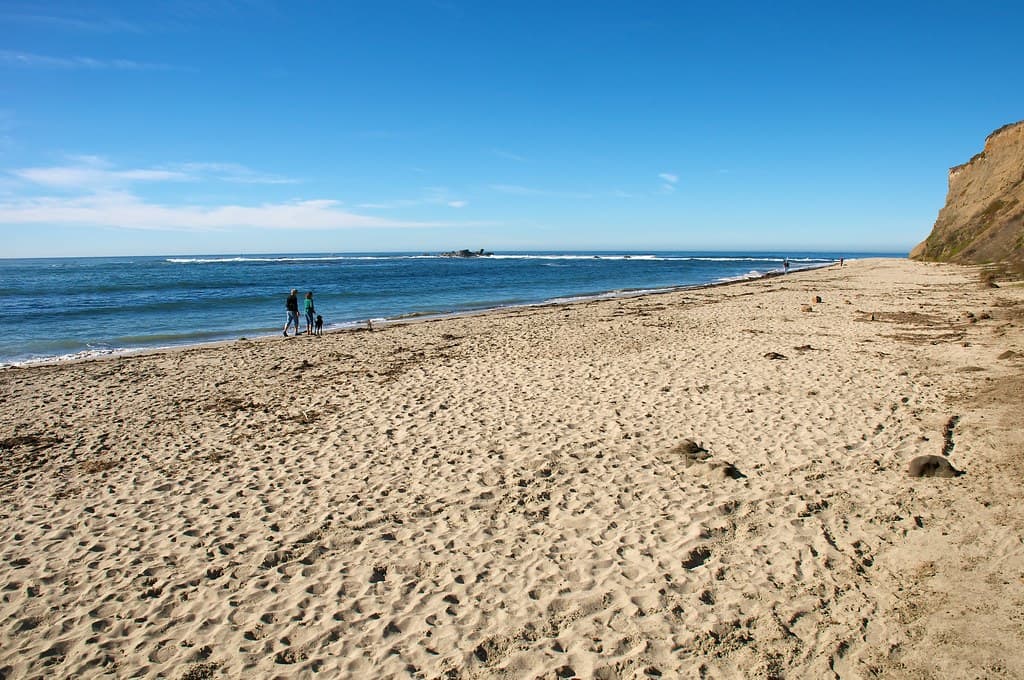 Couple Walking on the Beach at Pillar Point