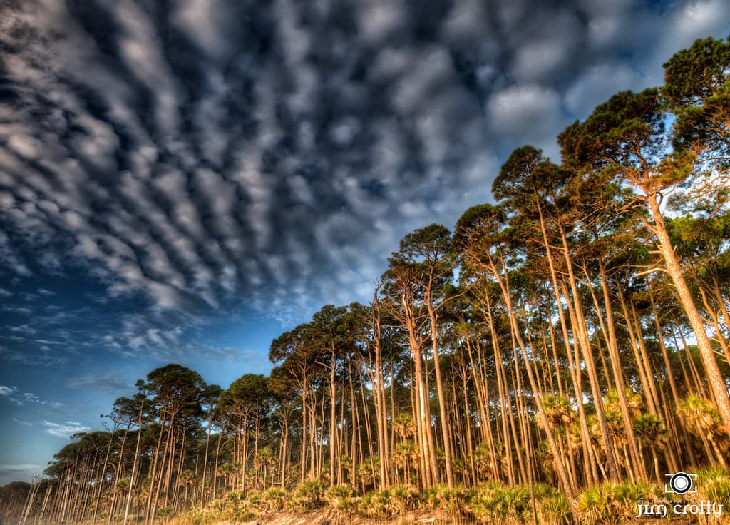 Hunting Island Photography by Jim Crotty 4