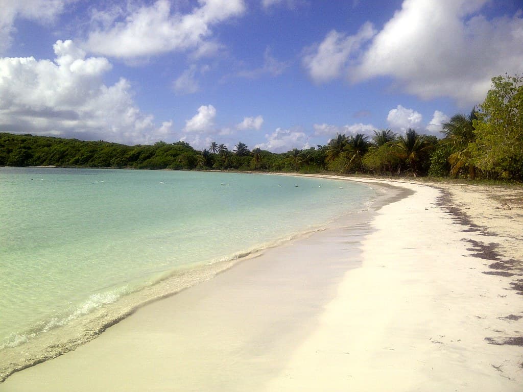Vieques: Playa Media Luna