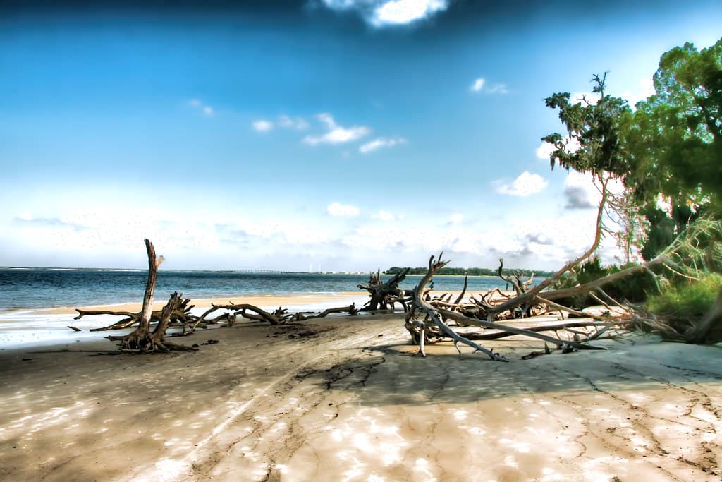 North Beach (Jekyll)