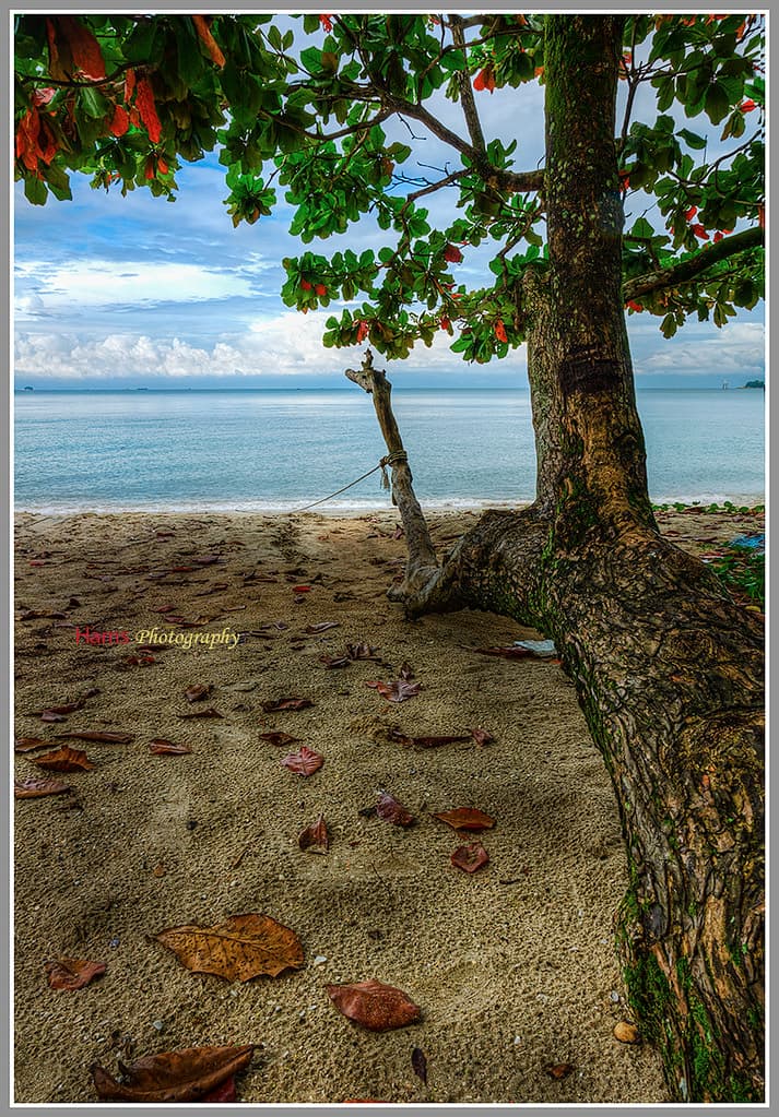 Teluk Senangin beach