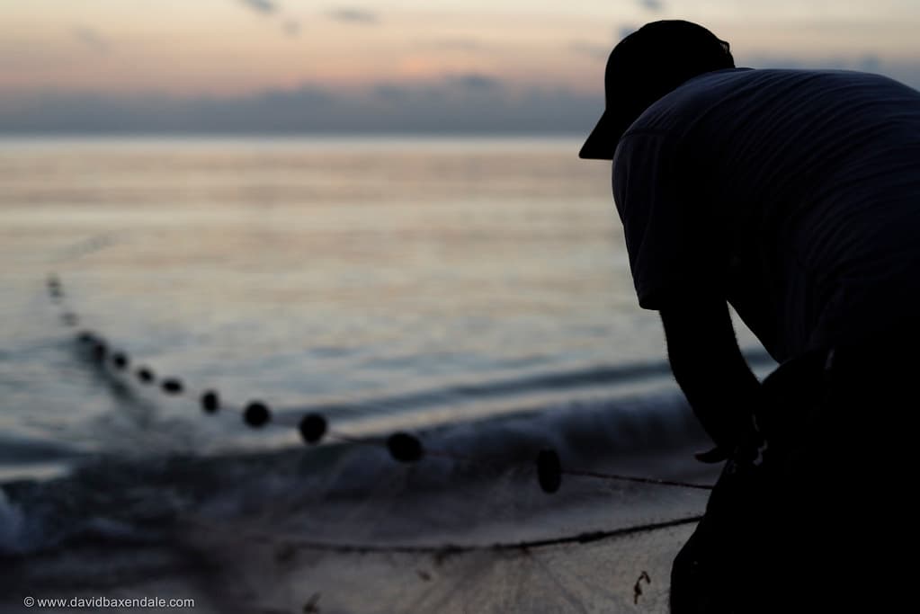 Waiting in Vain
