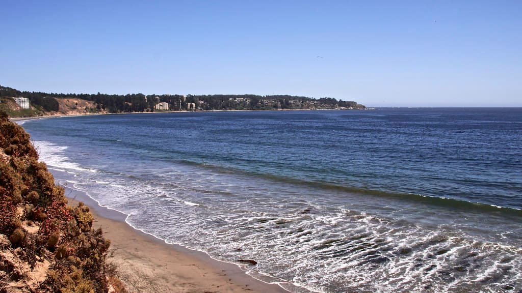 Chilean naturism
