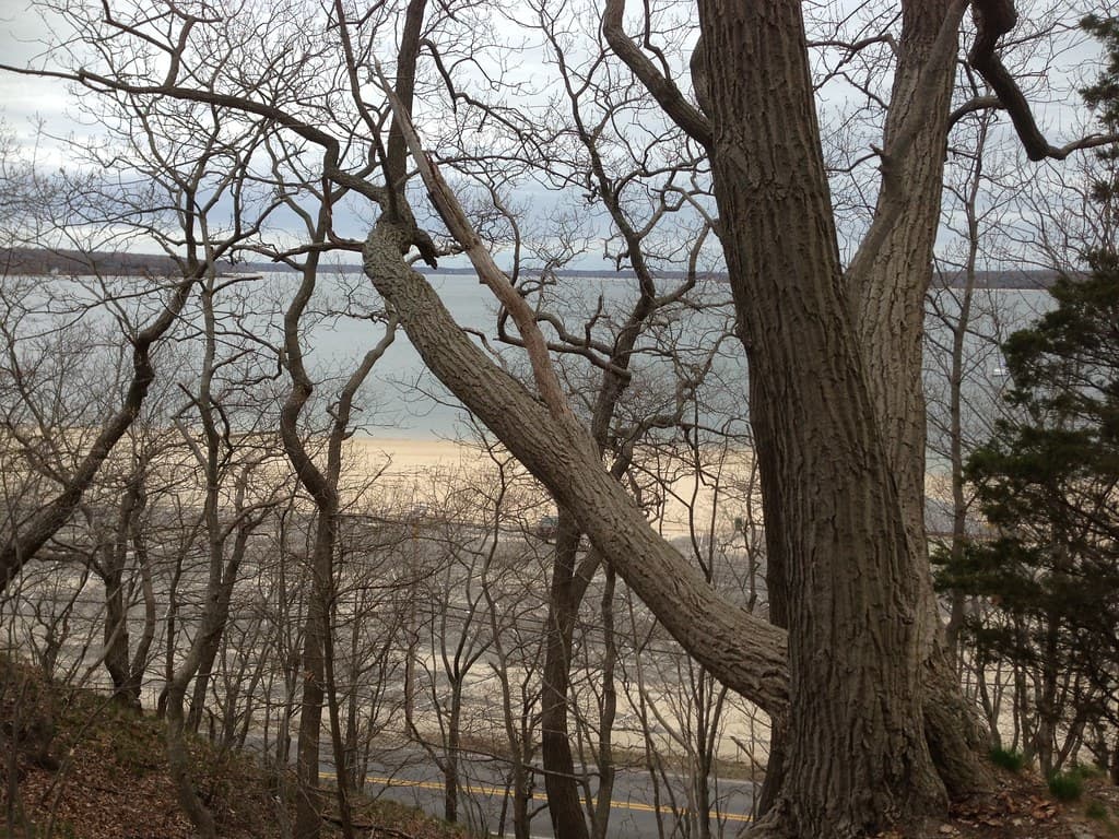 Asharoken Beach: View from Hill