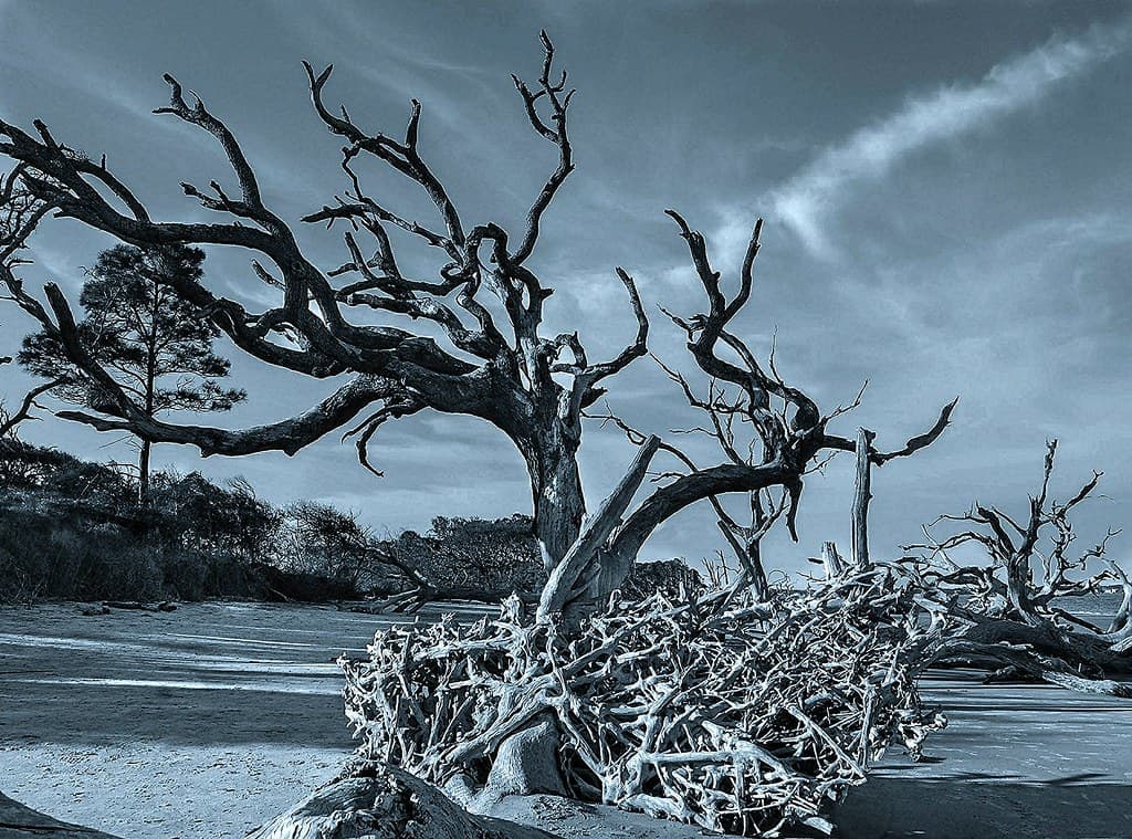 North Beach (Jekyll)
