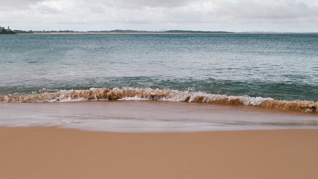 Waves