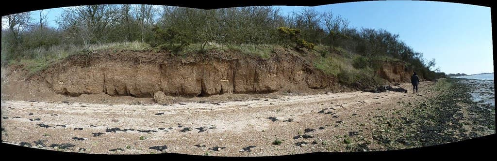 Burnham-on-Crouch Beach — photo by London Permaculture