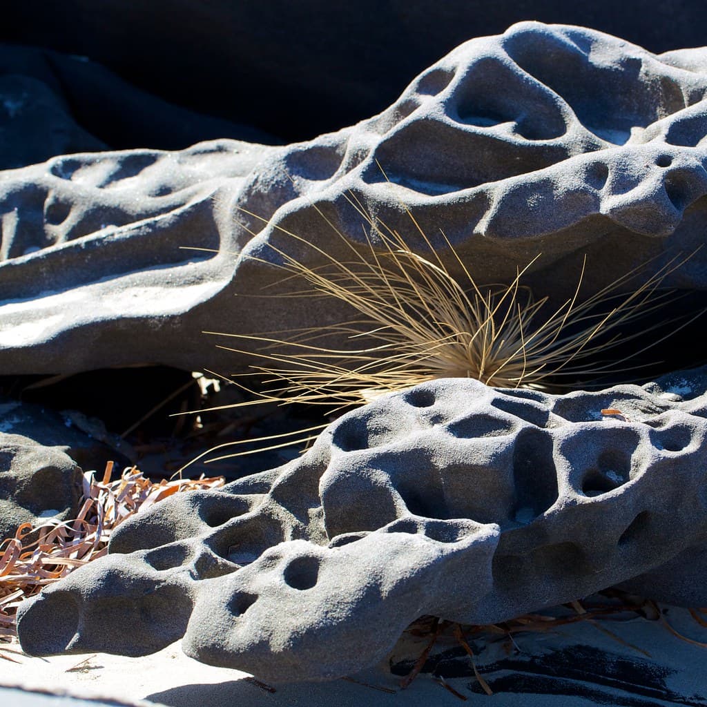 rock and spinifex