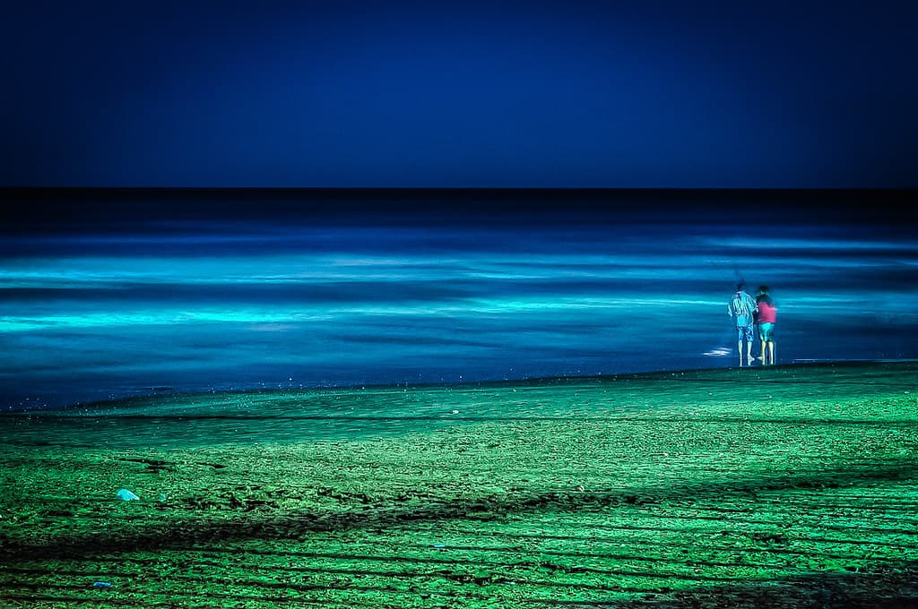 Deep blue