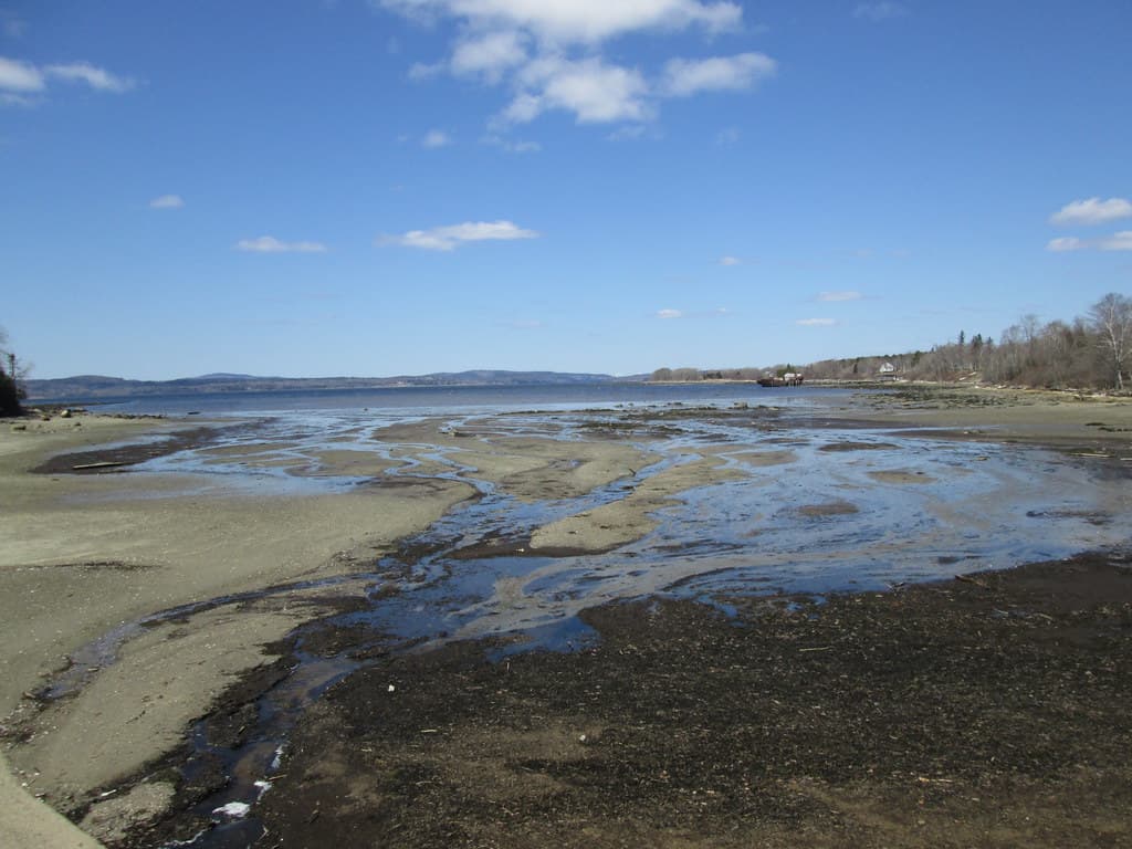 Castine Town Beach — photo by mdmarkus66