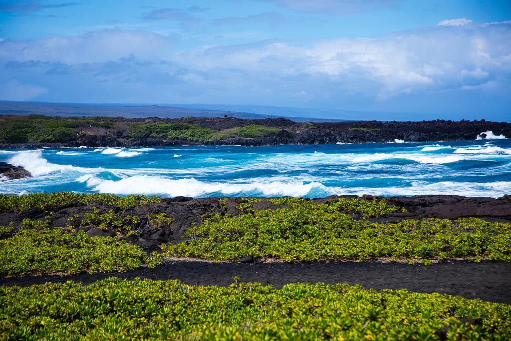 Punalu?u Black Sand Beach — photo by u07ch