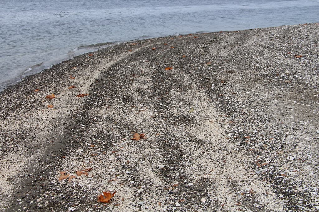 Striped Beach