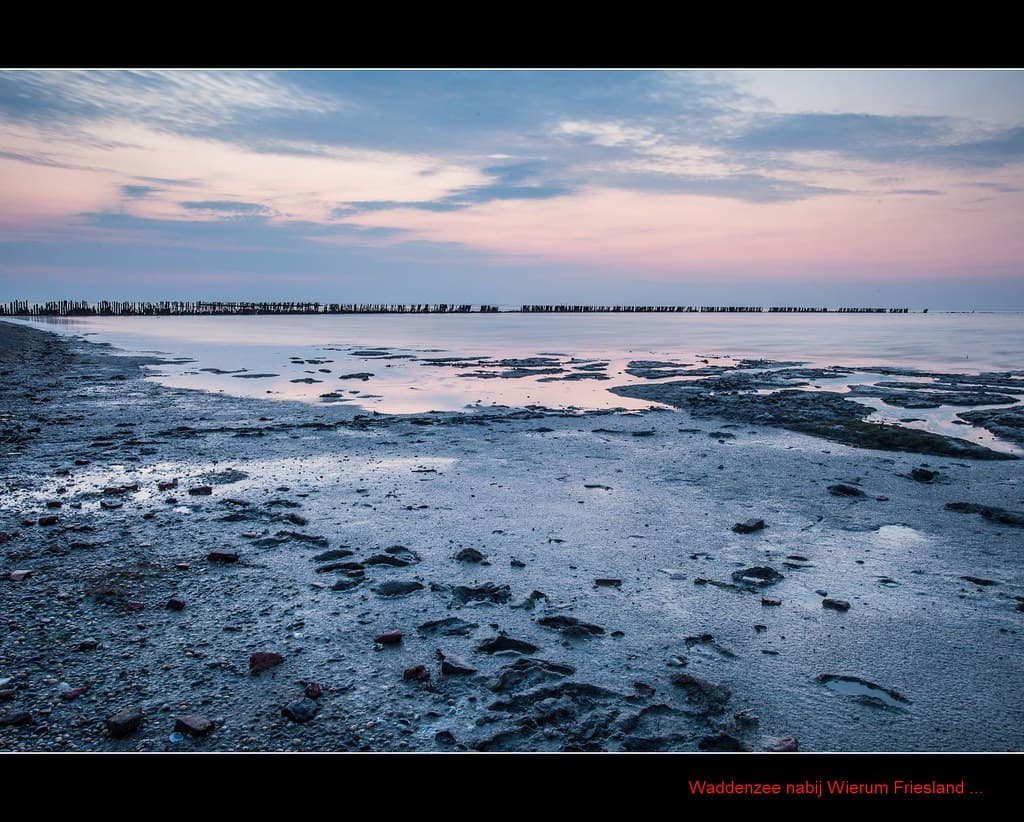Ternaard Wadden Shore — photo by Maarten Takens