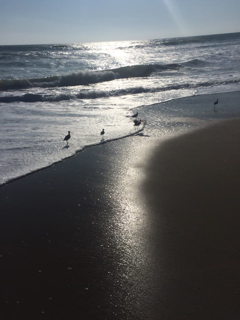 Ventura County