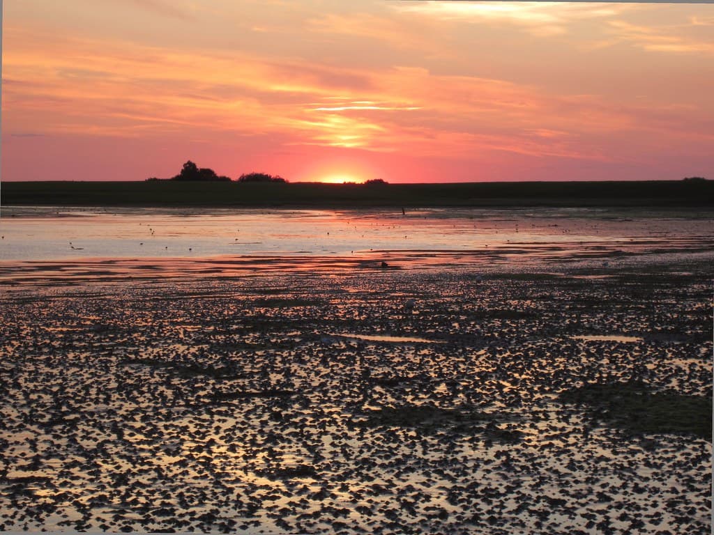 Lauwersoog Beach — photo by Egon Rijpkema