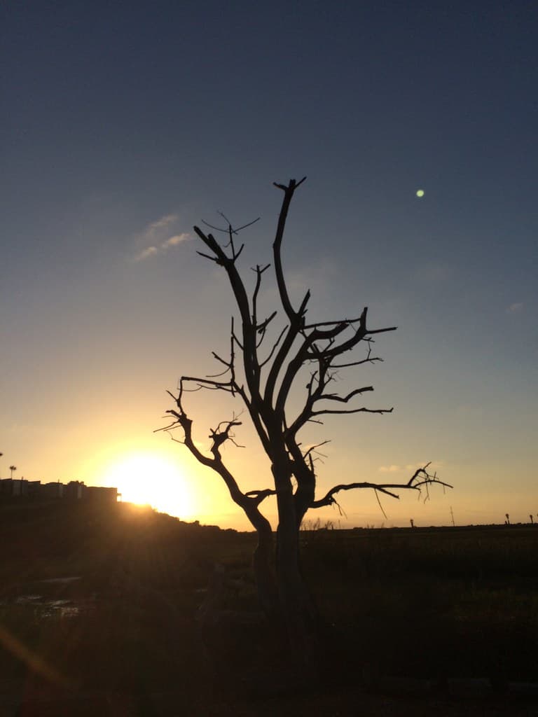 San Diego County