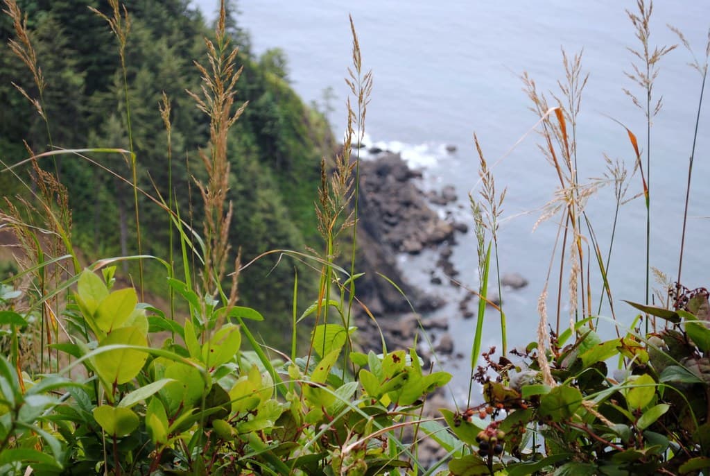 Tillamook Head Lighthouse Hike