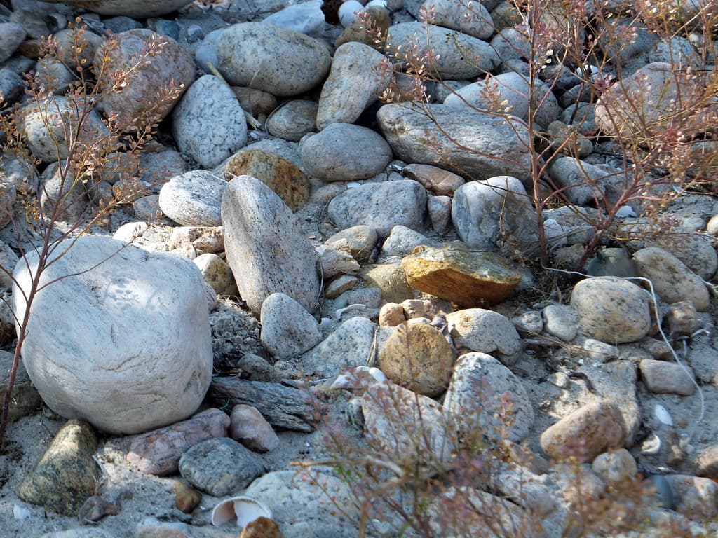 Beach Rocks
