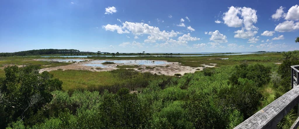 Assateague Bayside Beach