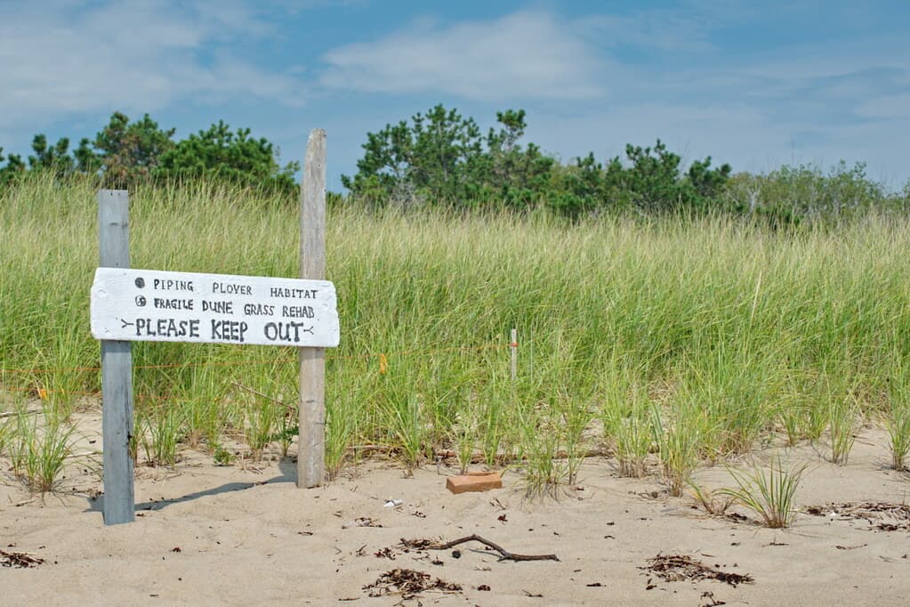 Scarborough Beach State Park
