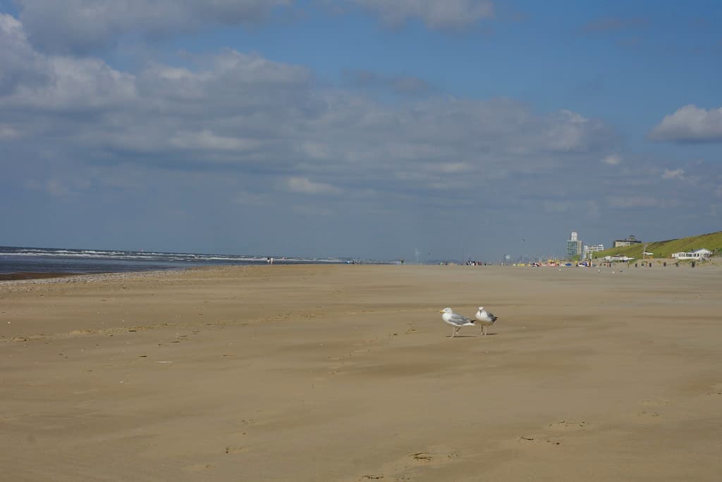 Langevelderslag Beach
