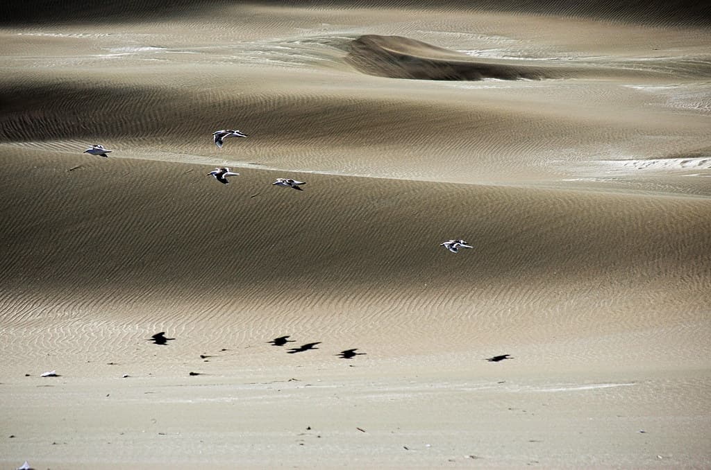 Playa Cristiano Muerto