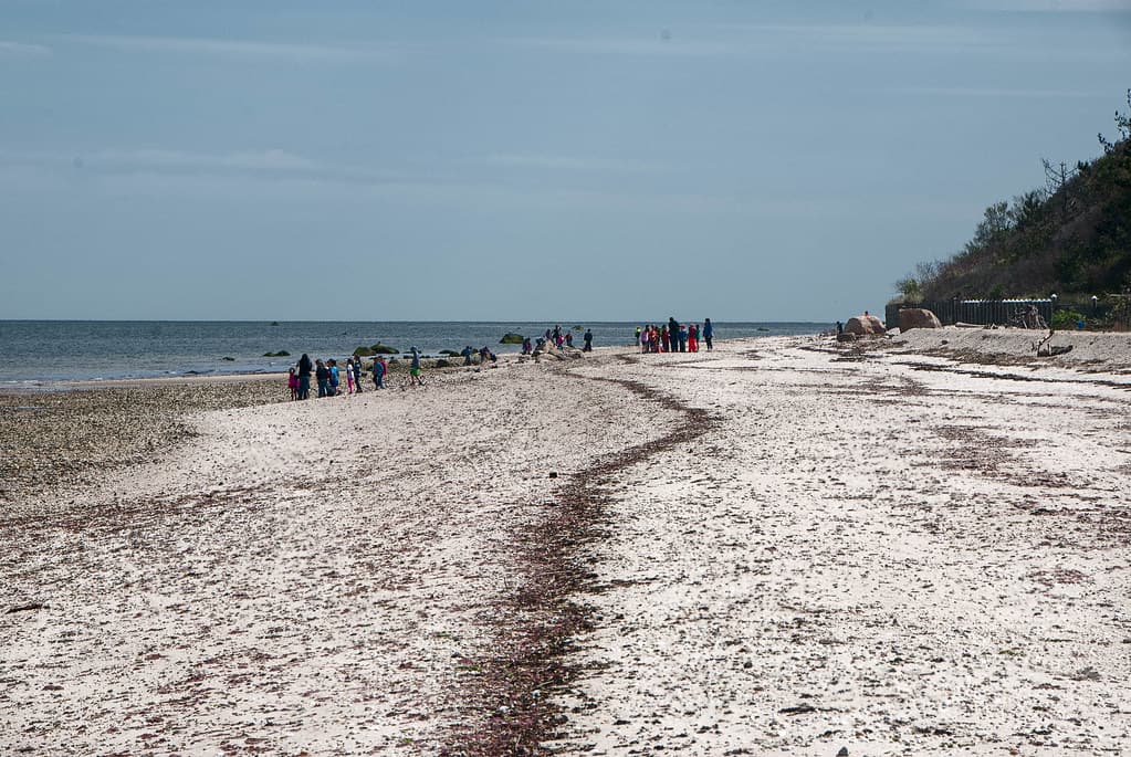 Bailie Beach District Park