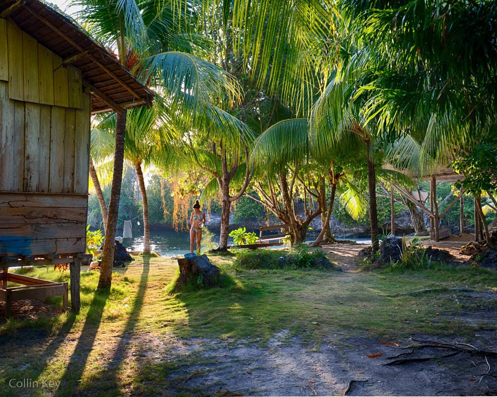 tropical vacation