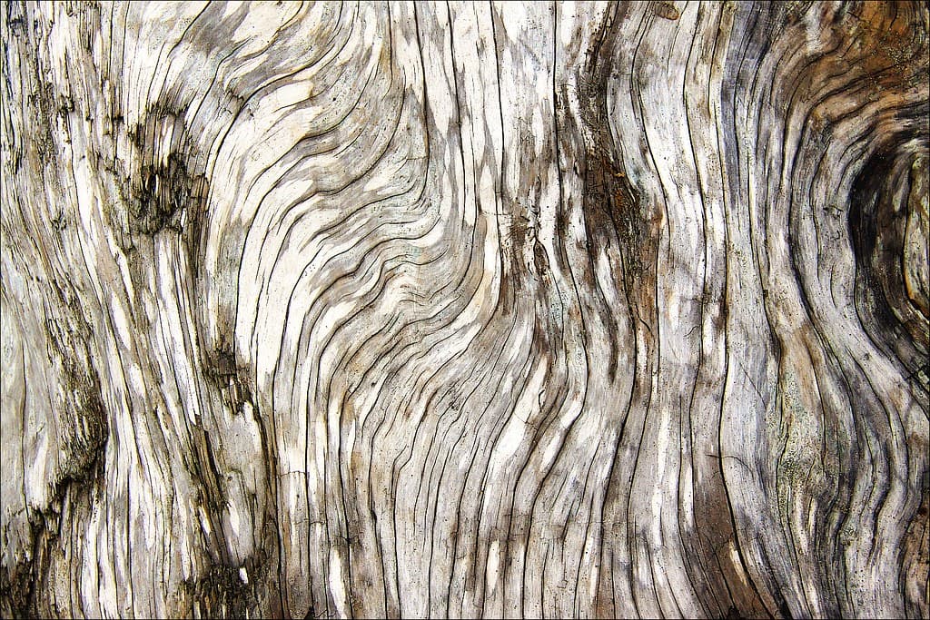 wood texture