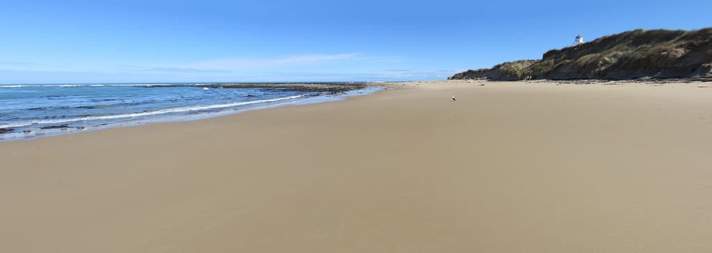 Waipapa Point Beach — photo by Valeria Cerutti