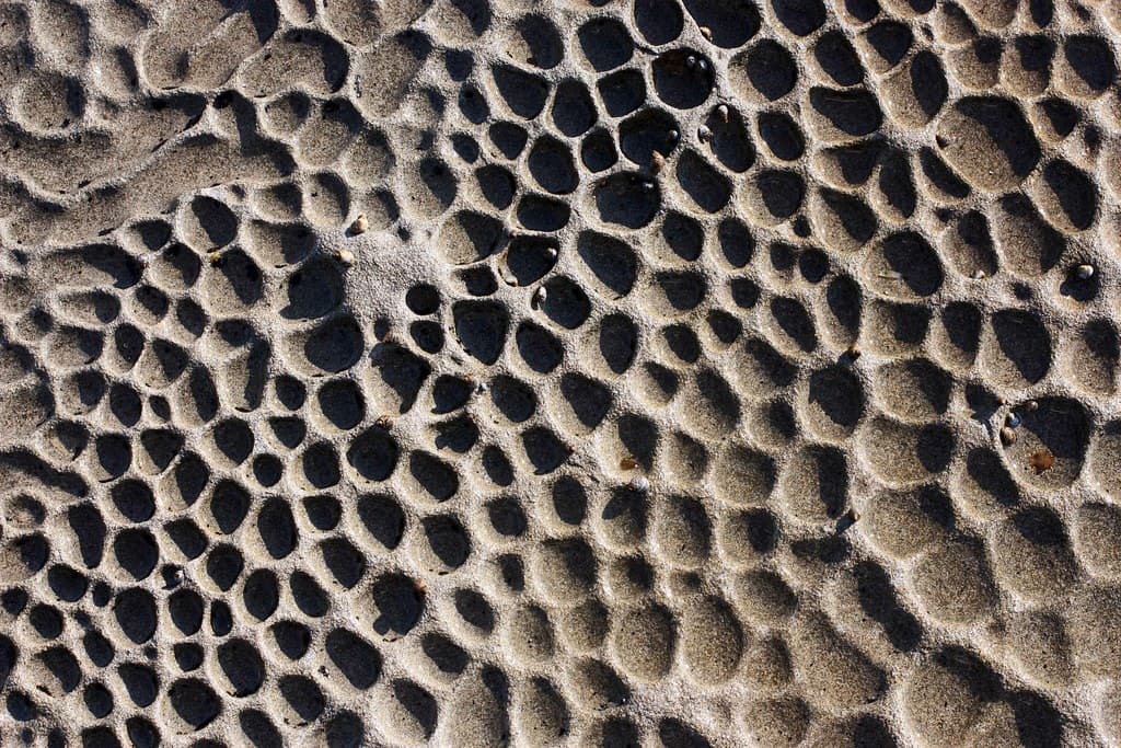 Honeycomb weathered sandstone