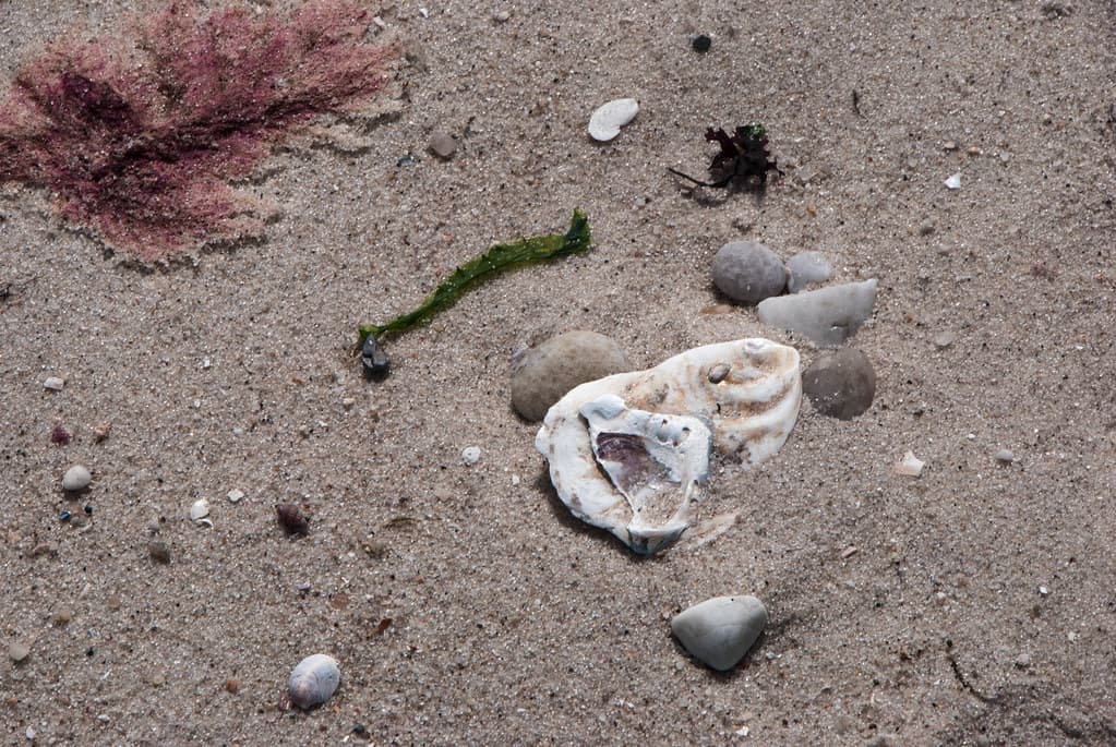 Bailie Beach District Park