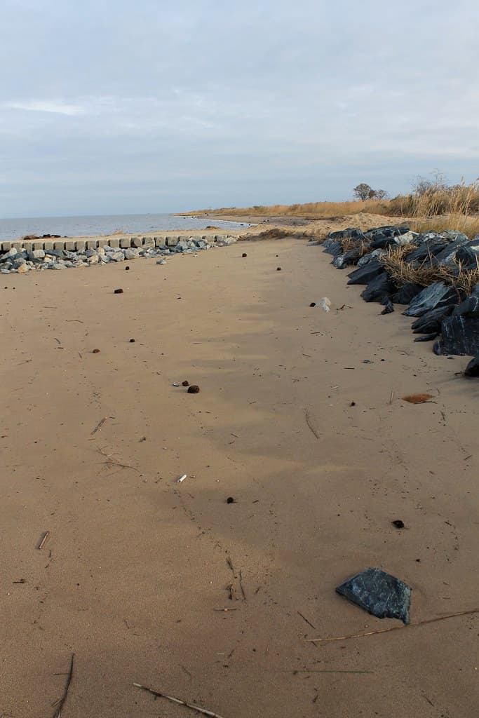 Smyrna Dunes Beach