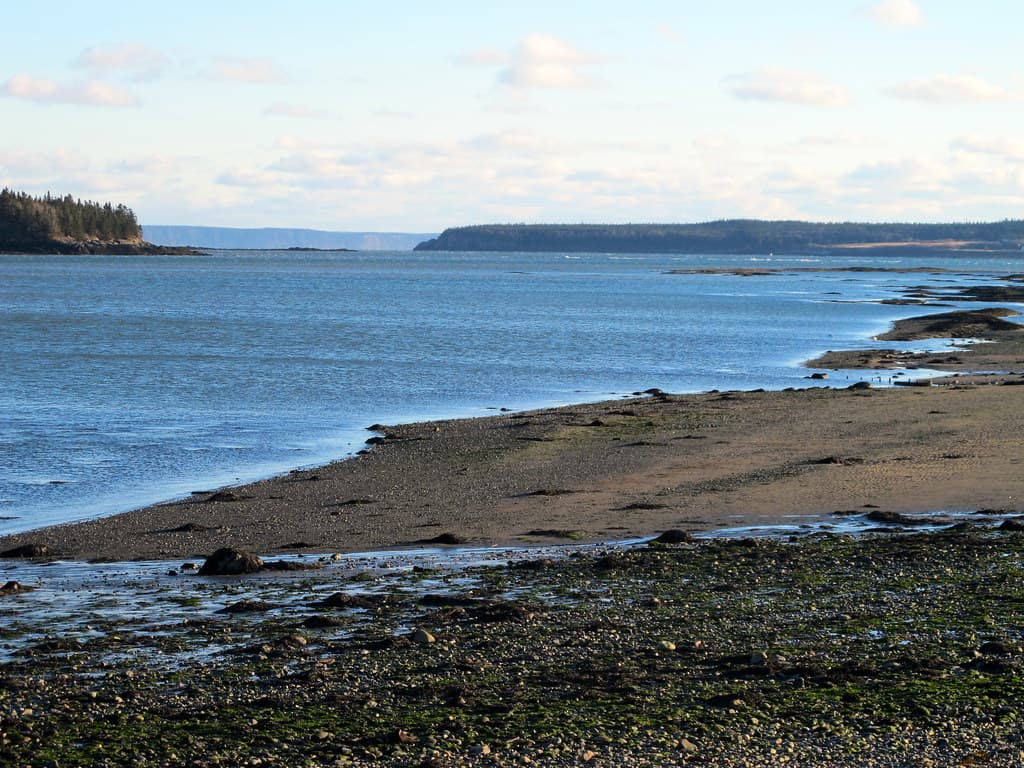 Mowry Beach walk December 23, 2012