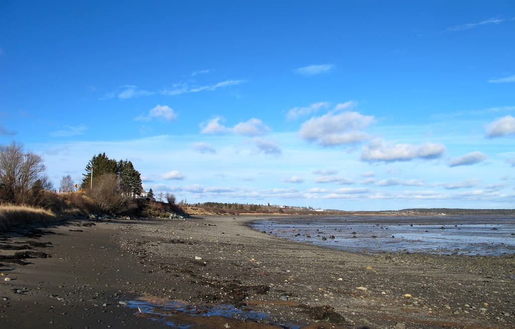 Mowry Beach walk December 23, 2012