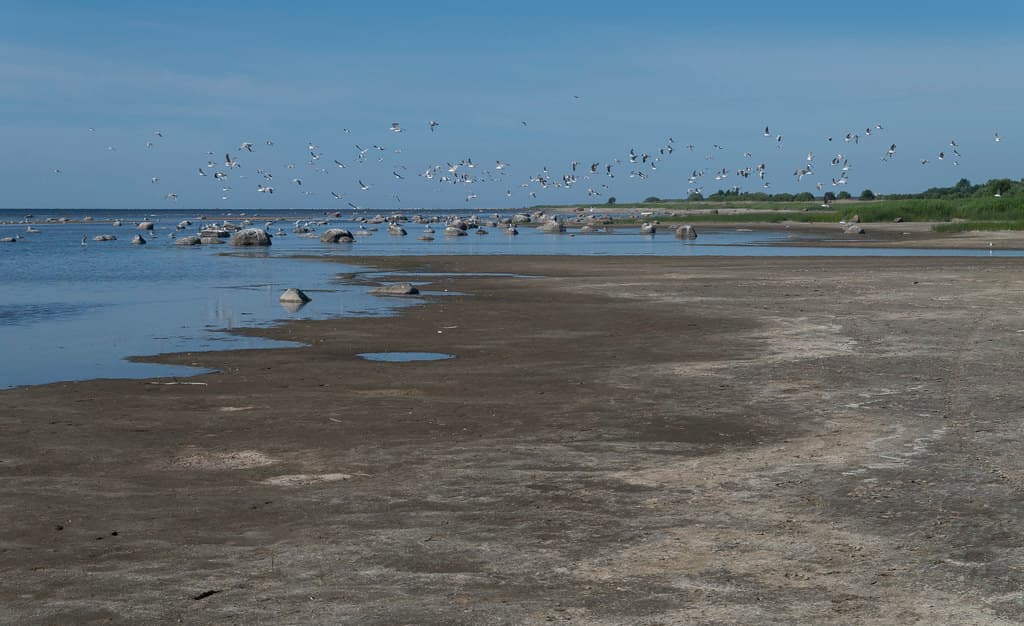 Ikla Beach — photo by Dāvis Kļaviņš