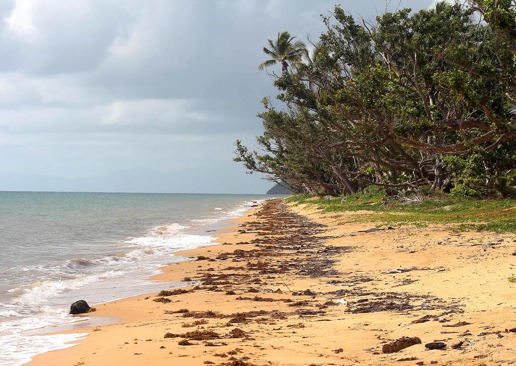 Wongaling beach looking north and south on a scene still looking a bit unnatural after being 'Yassied' two years ago!
