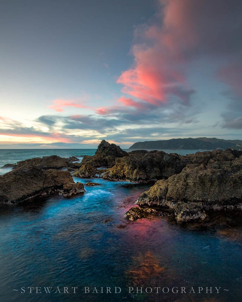 Titahi Bay Beach — photo by stewartbaird