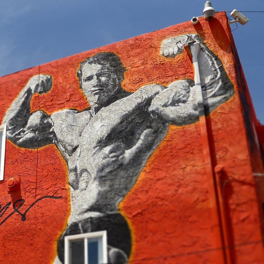 M. Muscle, Venice Beach. #destination #voyage #usa #californie #california #travel #losangeles #jevoyagealosangeles #venicebeach #broadwalk #beach @venicebeachgram @venice_sunsets @venice_life600 @venice.california @visitcalifornia @los_angeles_inst @losa